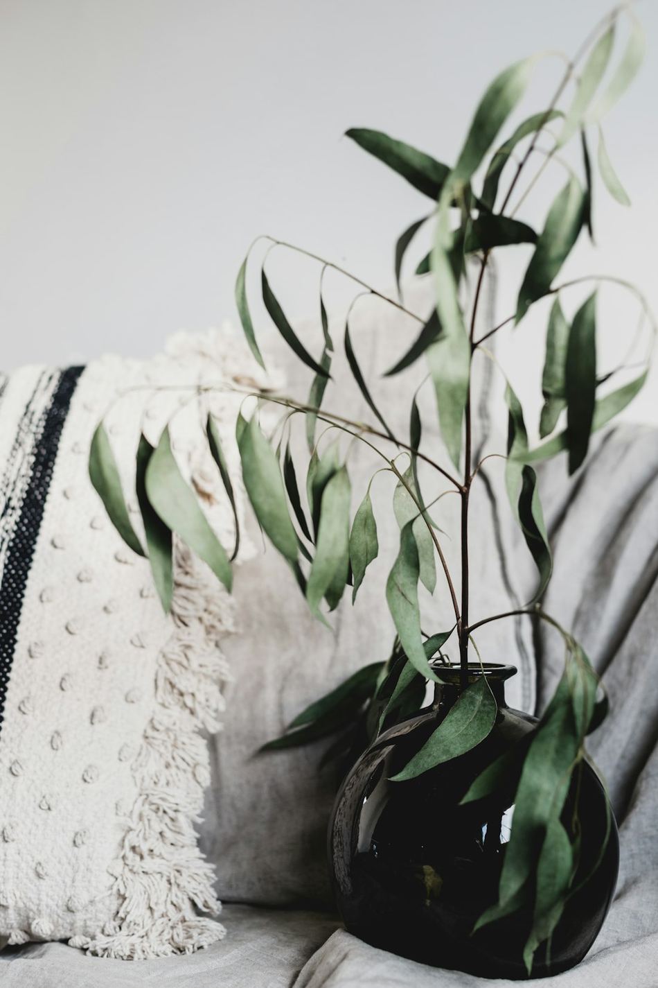 Branches d’eucalyptus et serviette